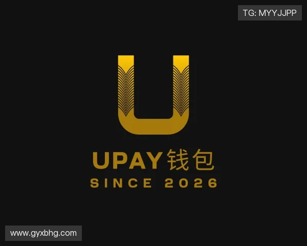 解读UPAY钱包
